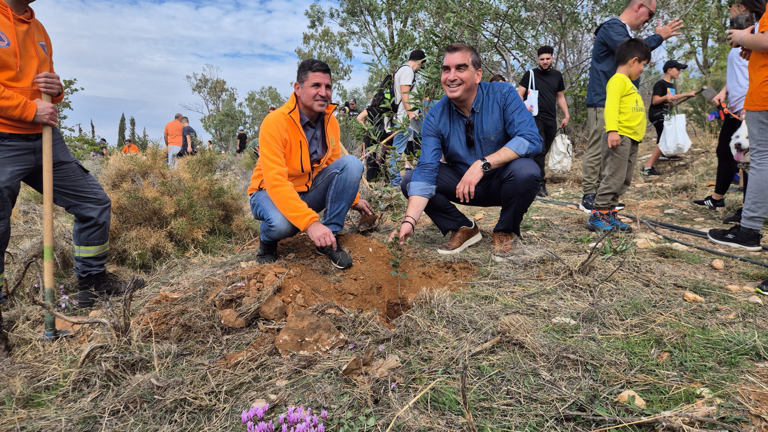 Εικόνα άρθρου