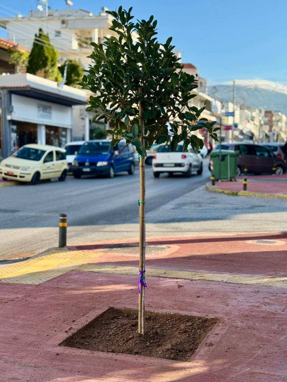 Εικόνα άρθρου