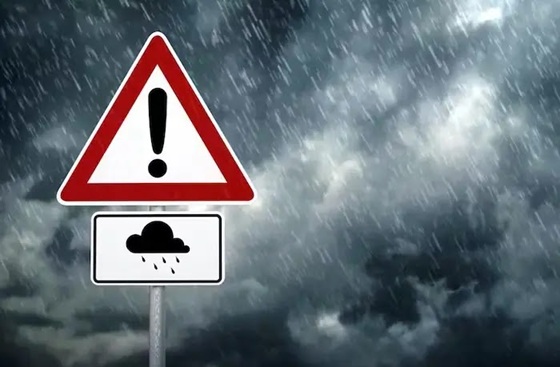 Εικόνα άρθρου